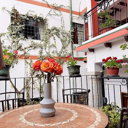 Rincon Familiar Hotel Boutique-2